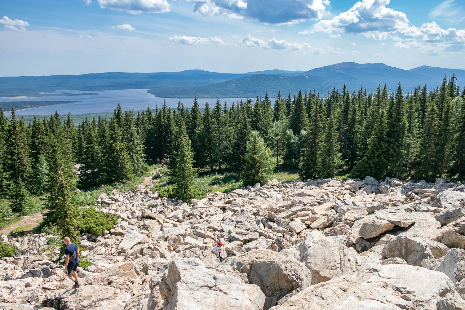 , Алексей Середенин