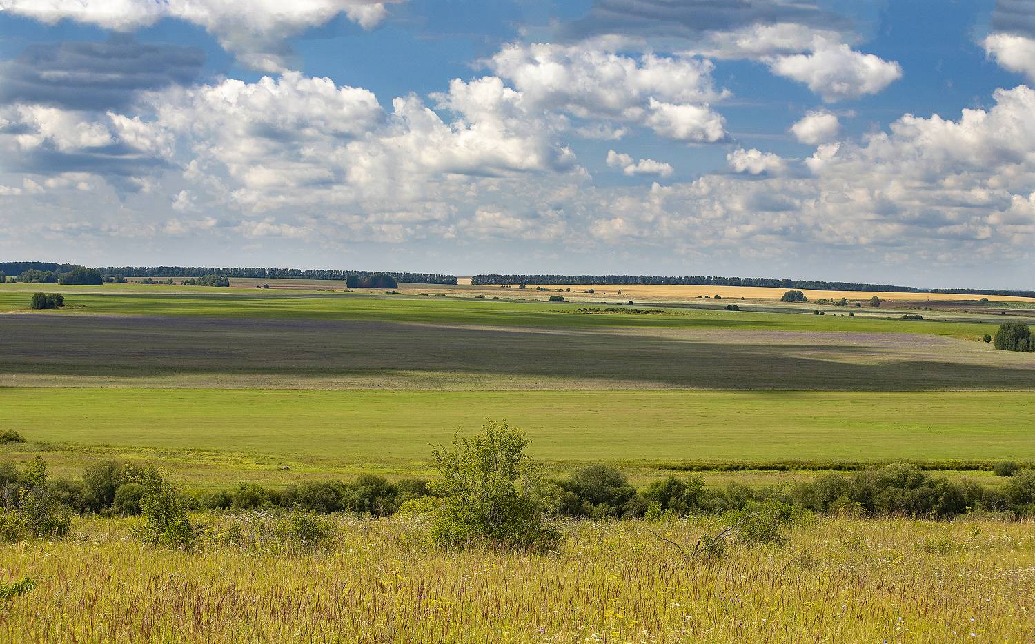 поля, облака, лето, природа, Широких Александр