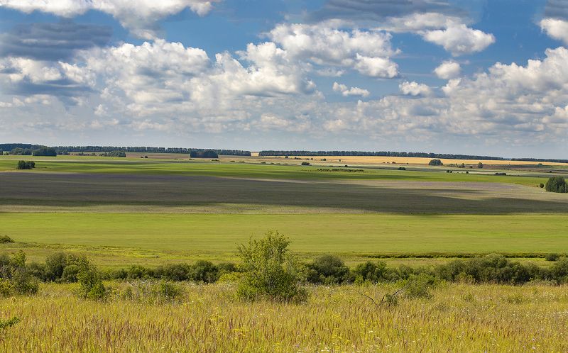 поля, облака, лето, природа Плывут облака над полями фото превью