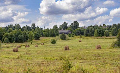 Деревенское лето