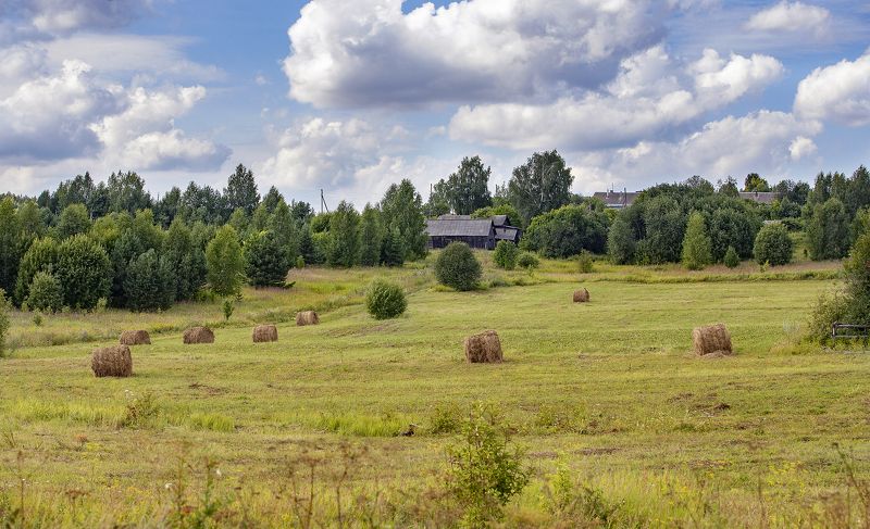 деревня, лето, поле, сенокос, рулоны Деревенское лето фото превью