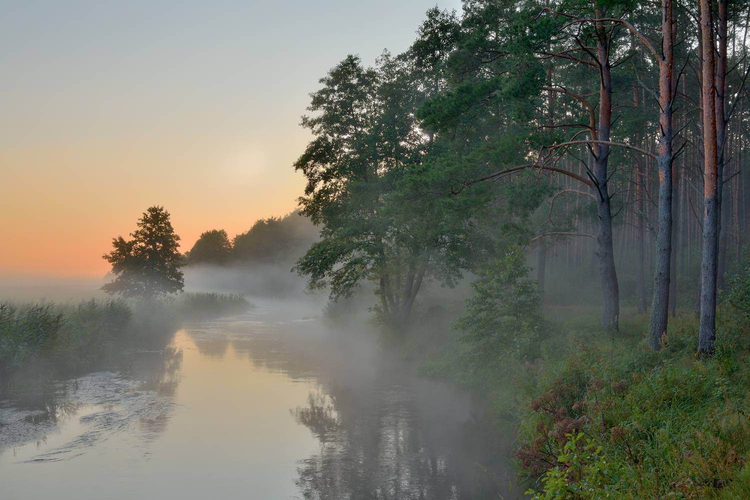 , Руслан Авдевич