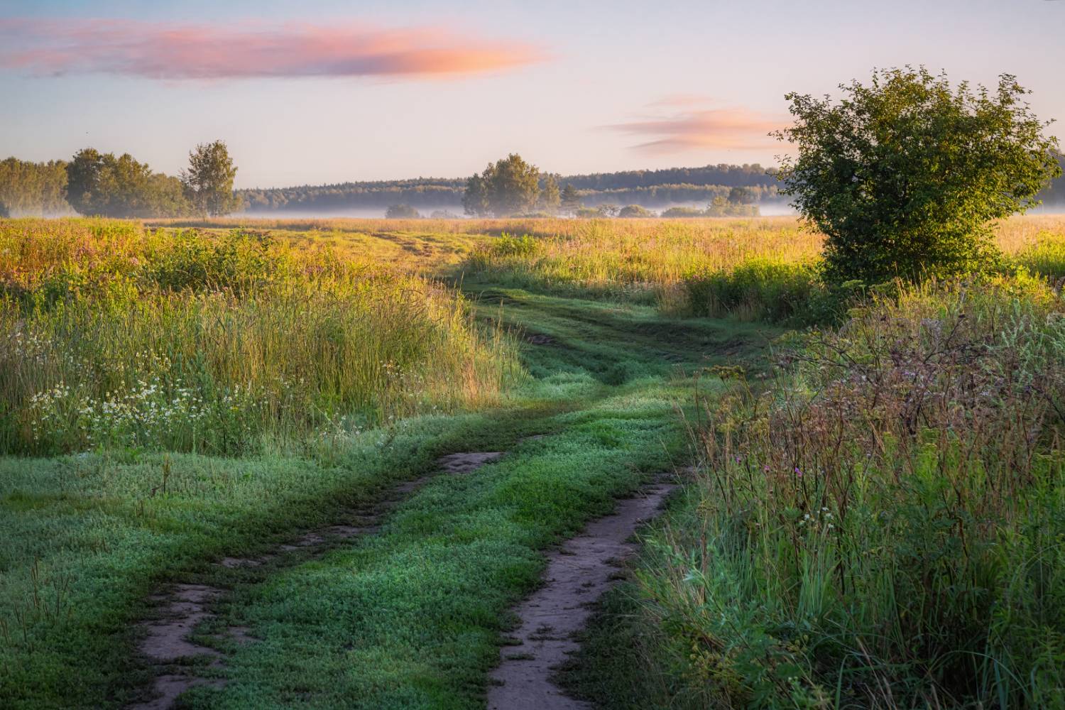 , Евгений Ерохин