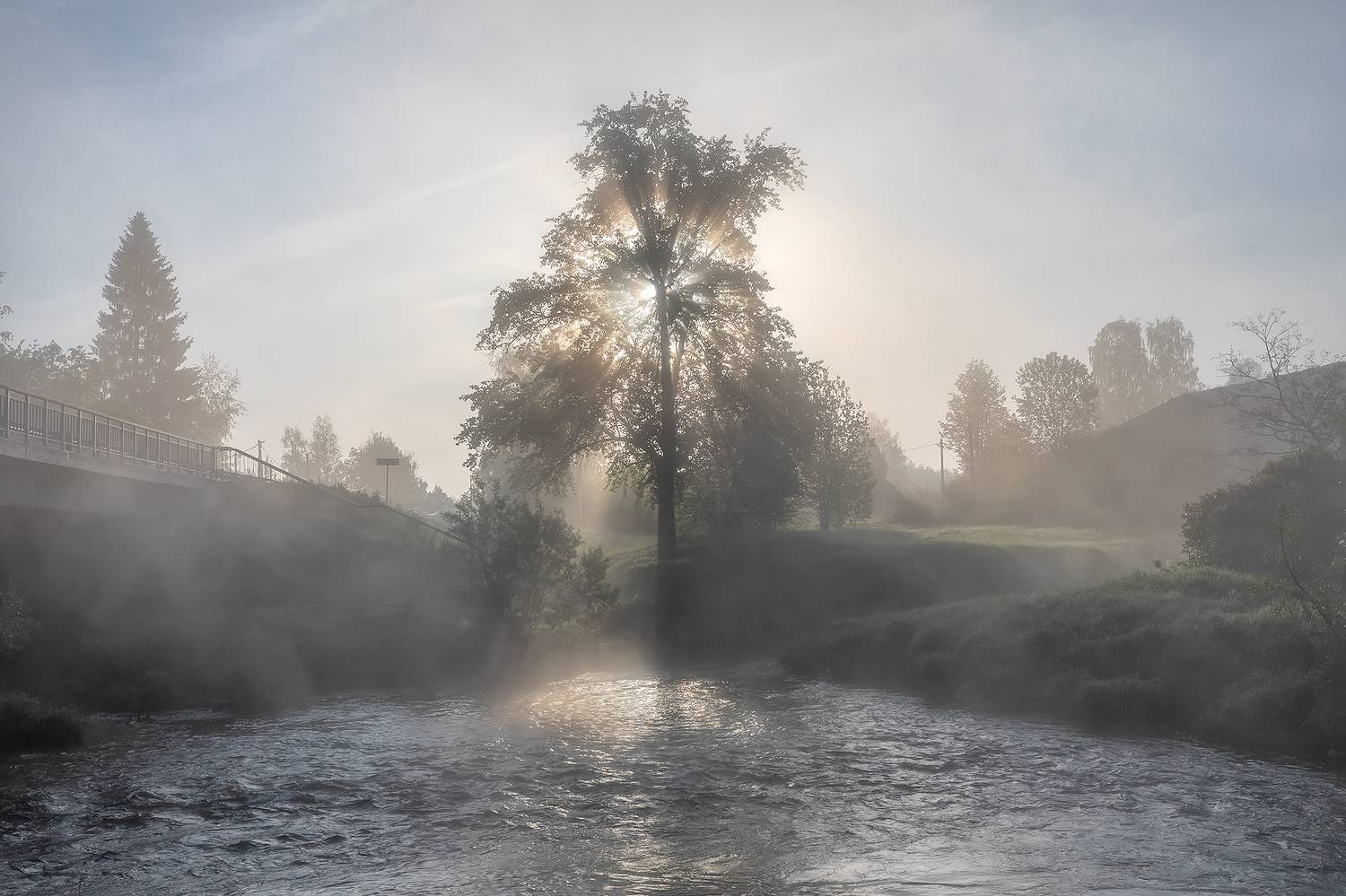 , Александр Пашеничев