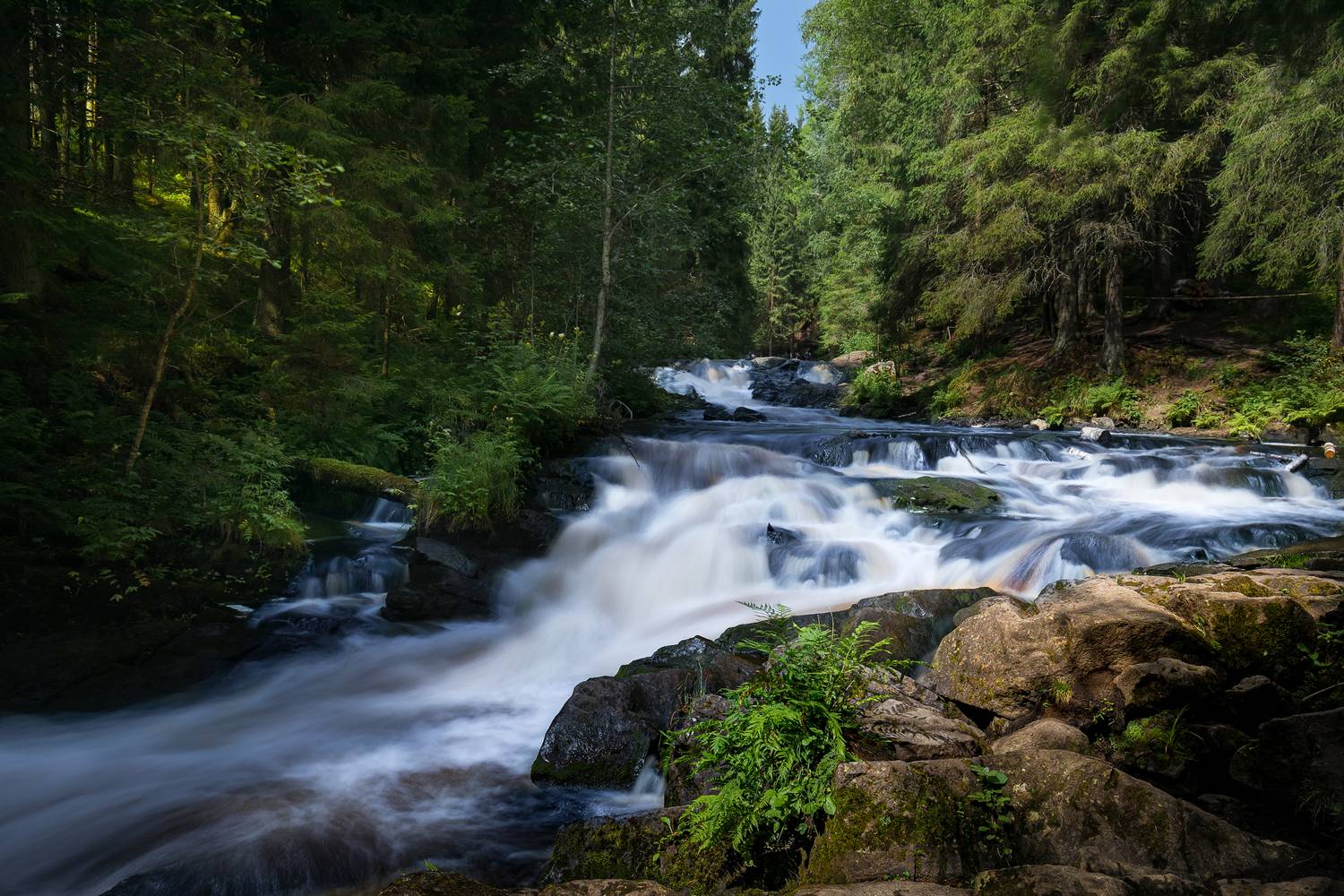 , Вячеслав Мельников