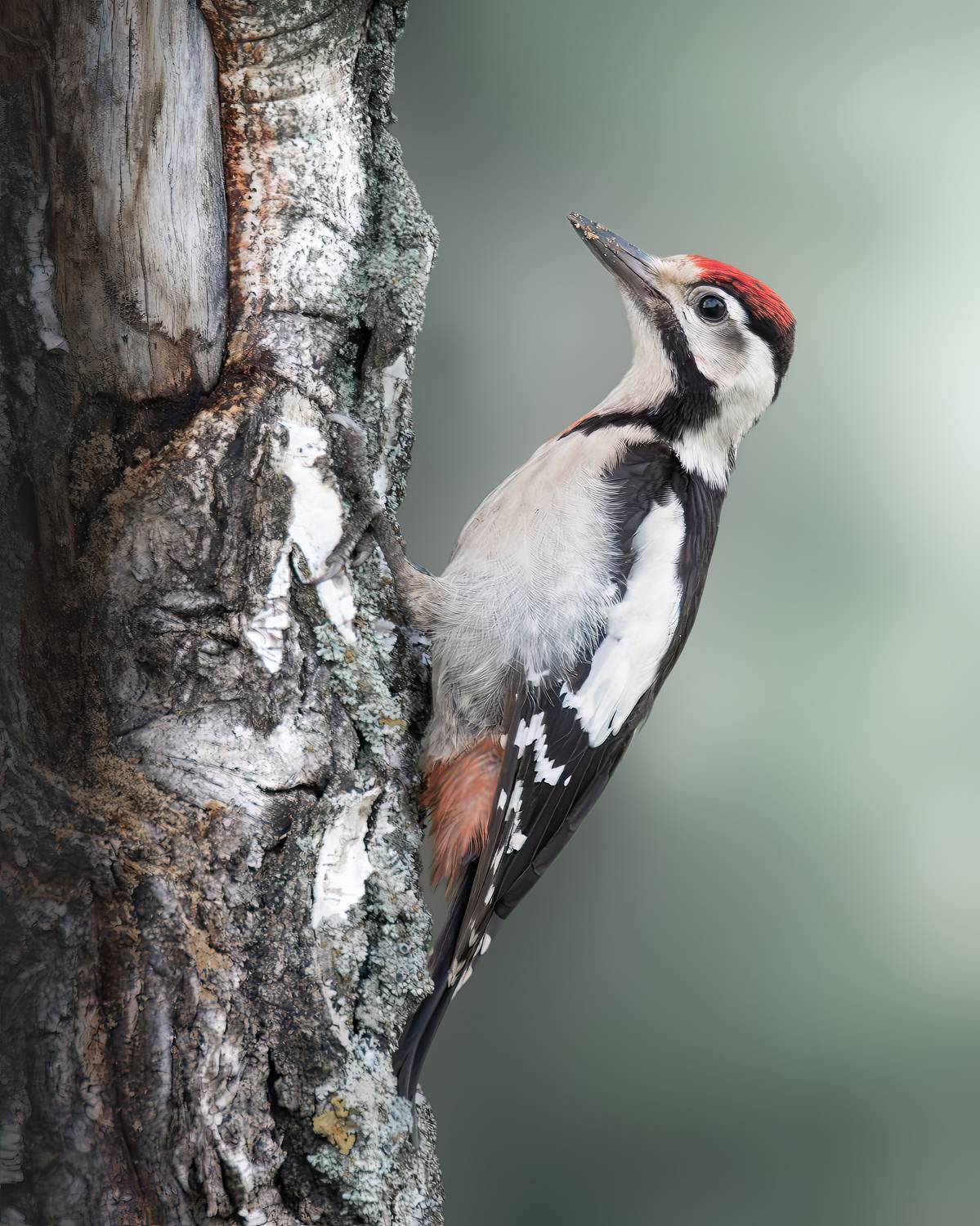 , Митин Дмитрий