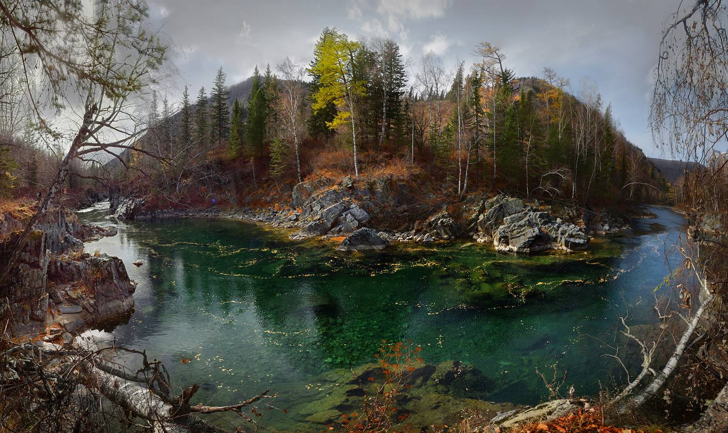 , Светлана Крат