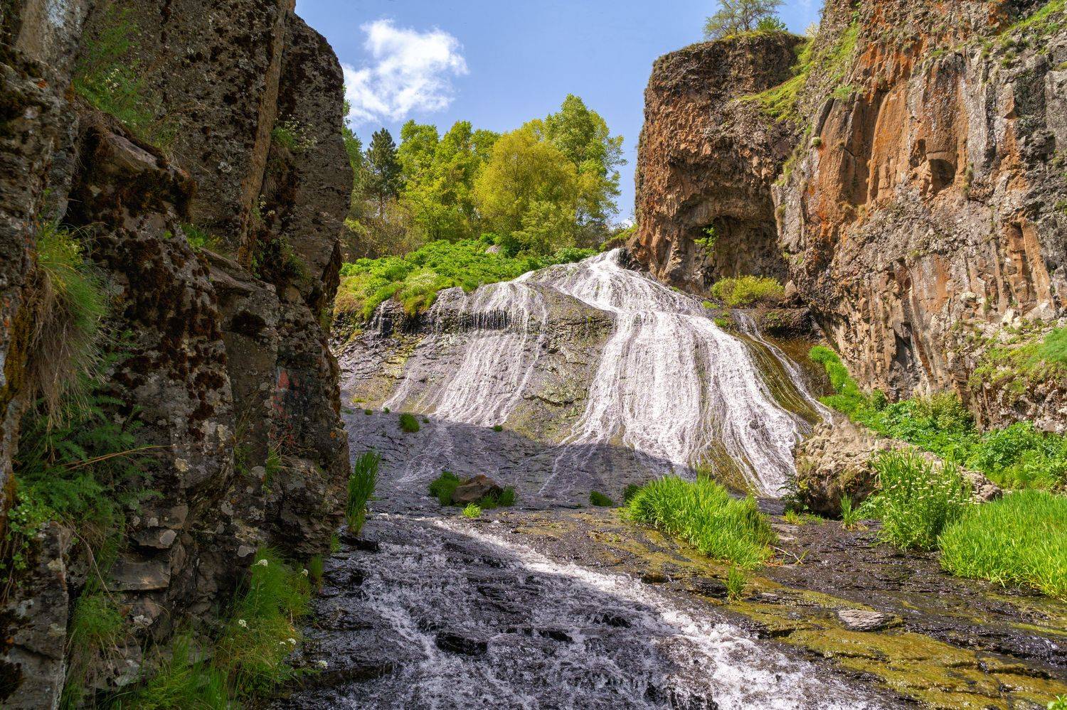 , Лариса Дука