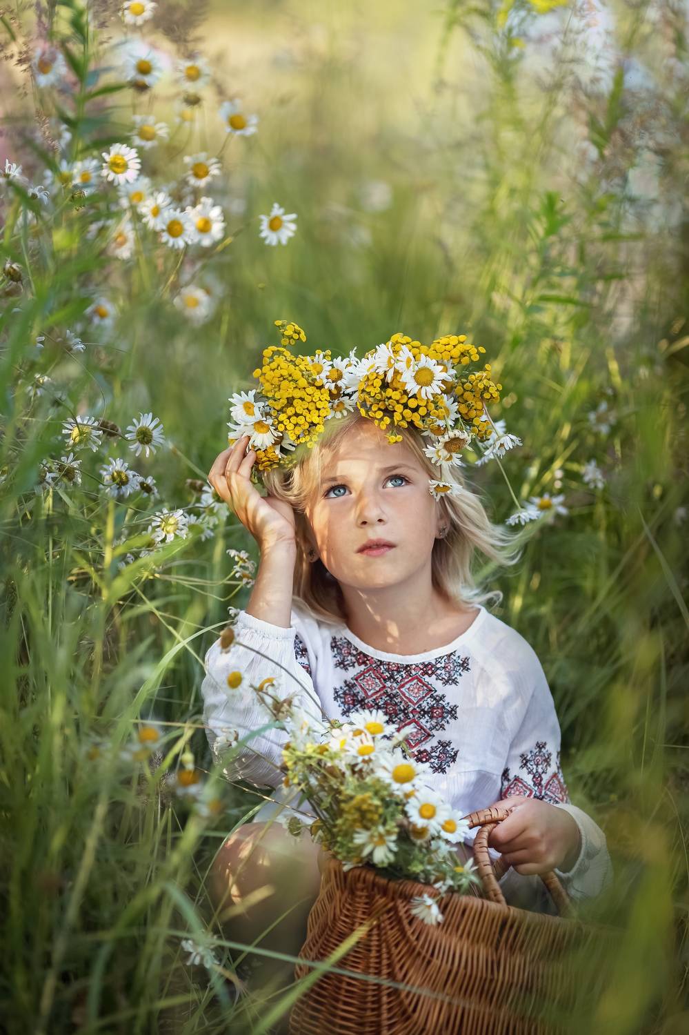 поле, лето, ромашки,веночек,беларусь, ГОРЮКИНА ИРИНА