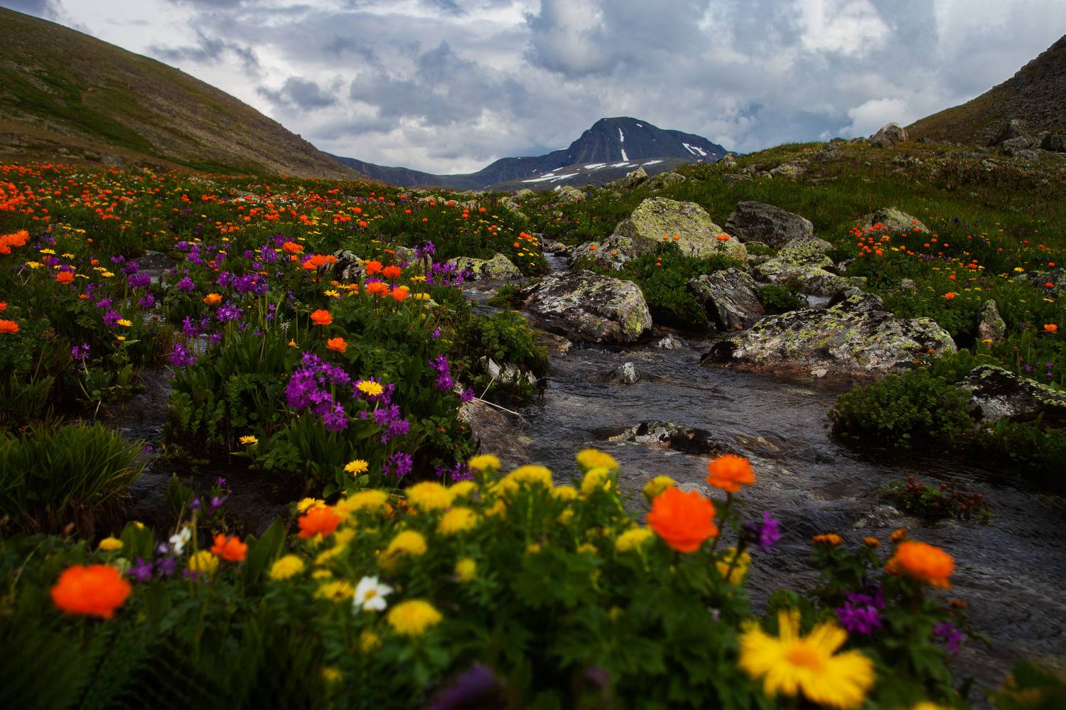 , Никифорова Ксения