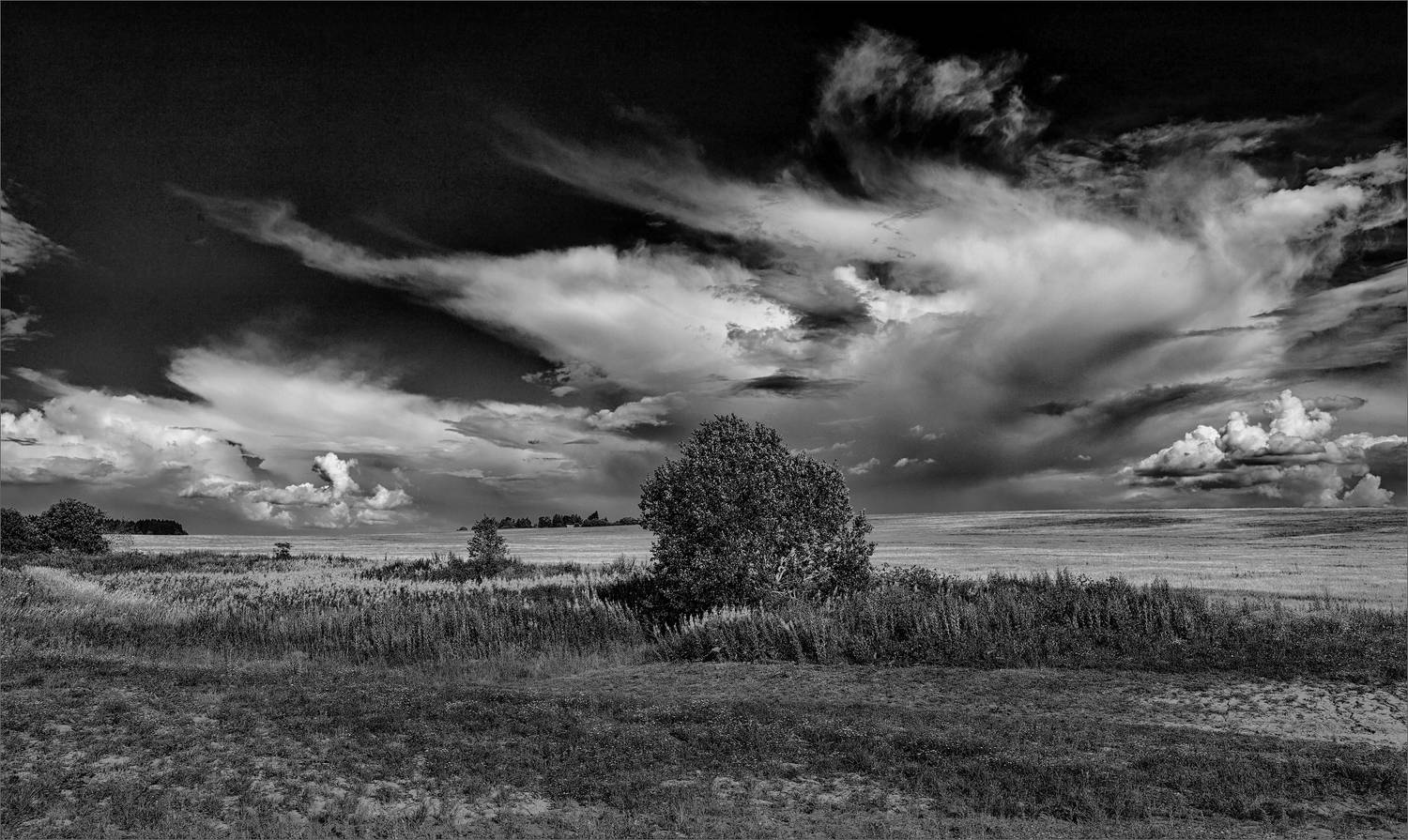 лето, небо, поле, черно-белое, александр никитинский, Никитинский Александр