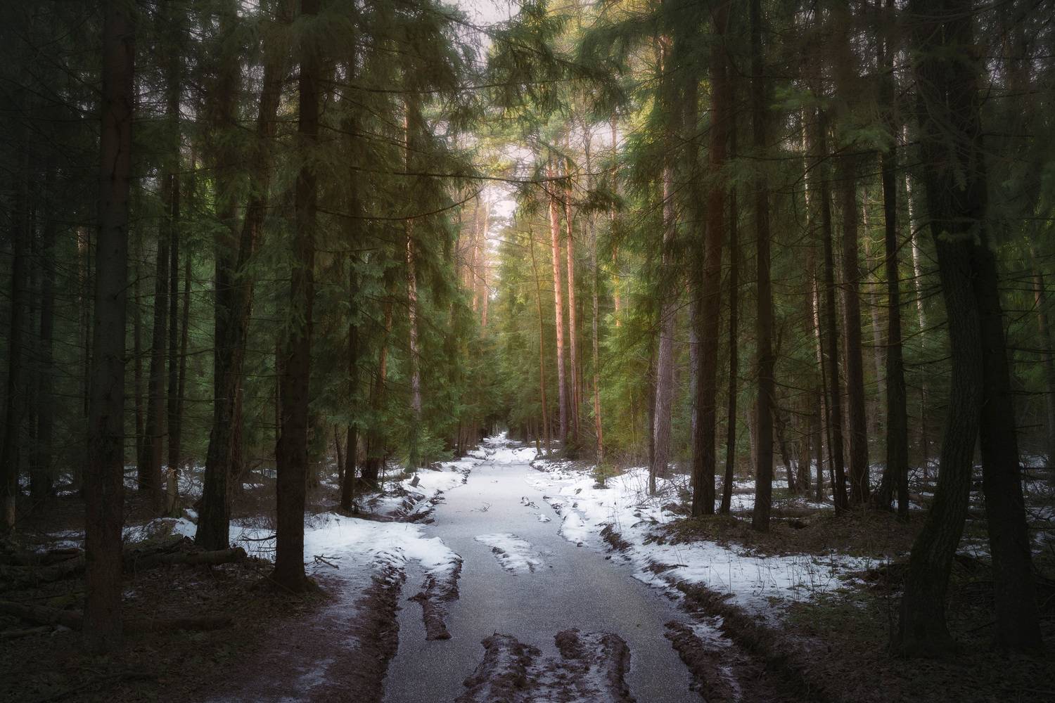 лес, зима, деревья, пейзаж, forest, woodland, trees, landscape, winter, Валерий Вождаев