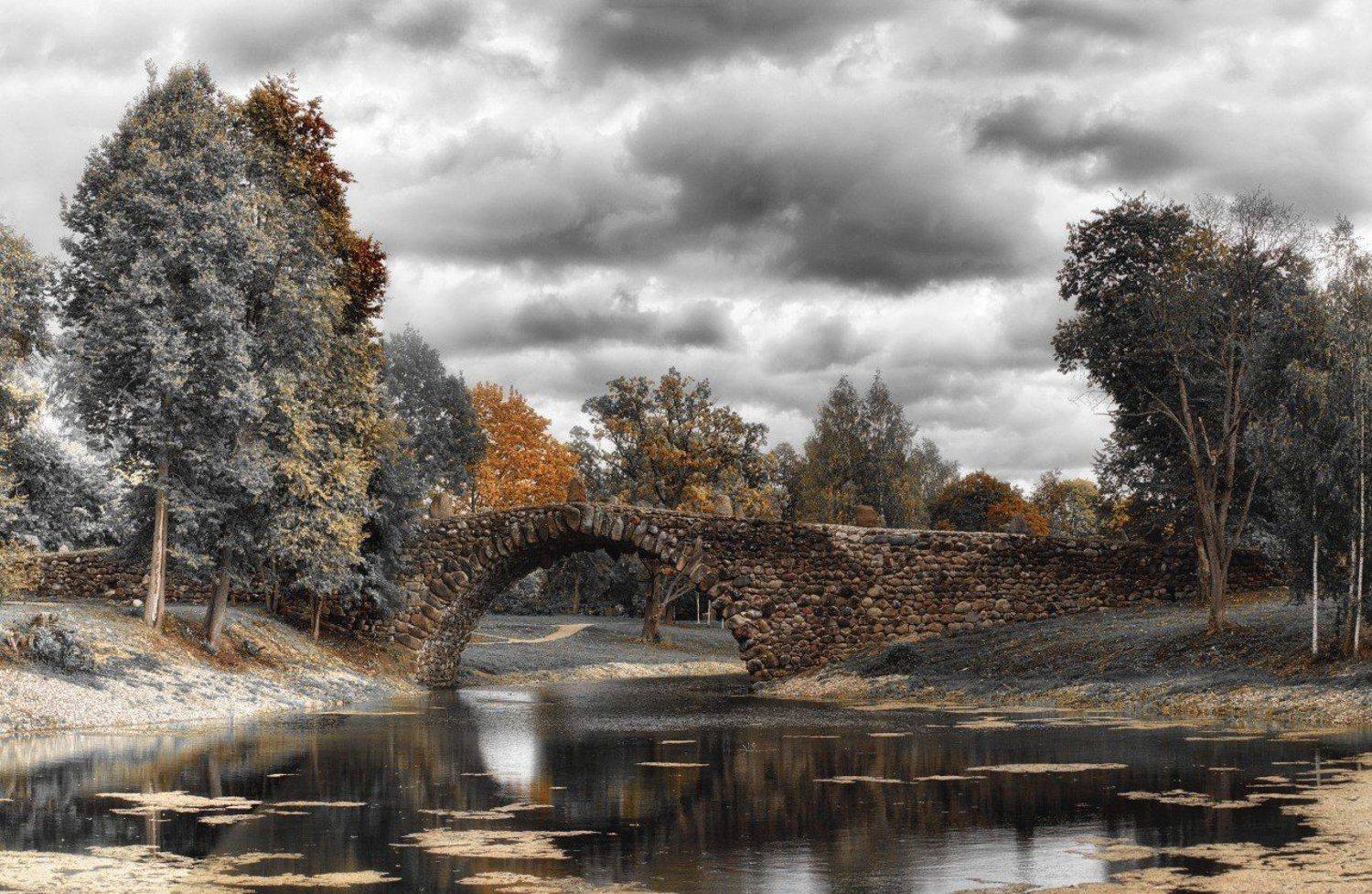 , Аседач Александр