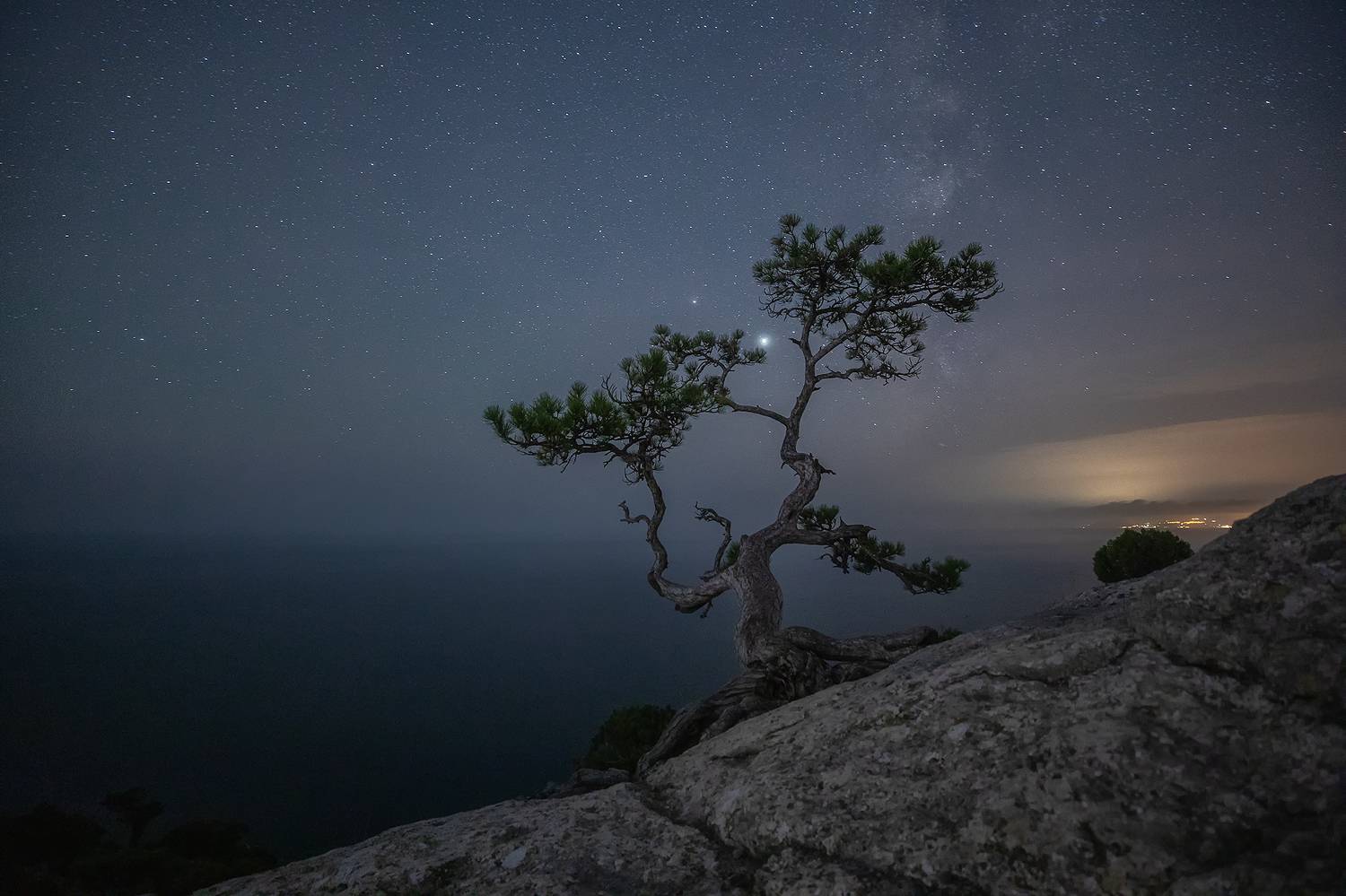 , Александр Пашеничев