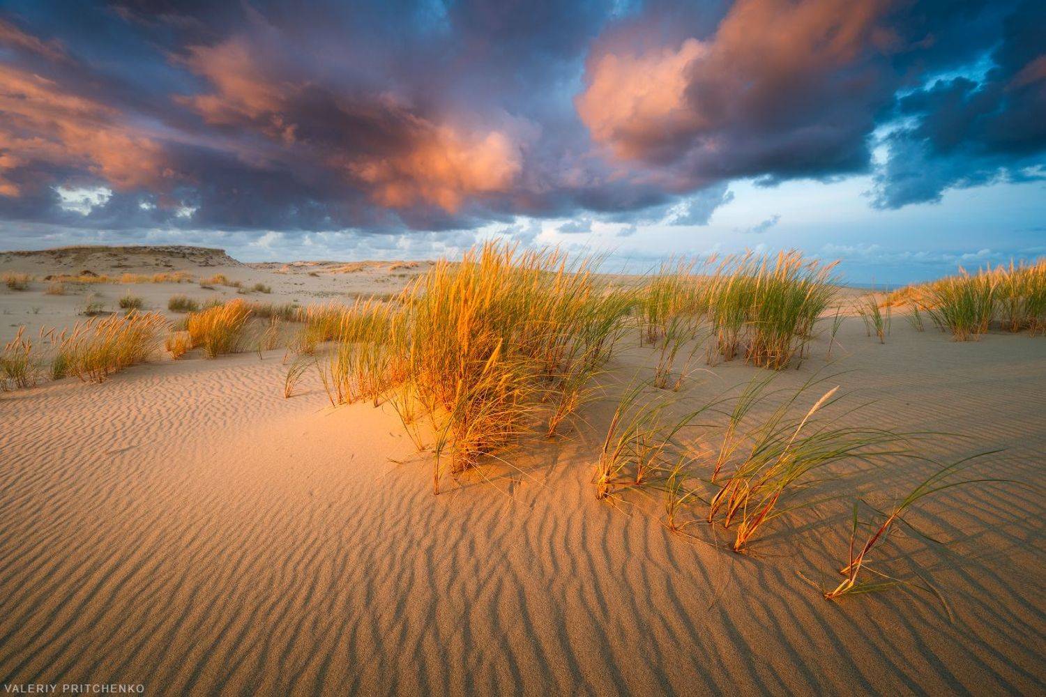 природа, пейзаж, закат, куршская коса, landscape, nature, sunset, evening, Валерий Притченко