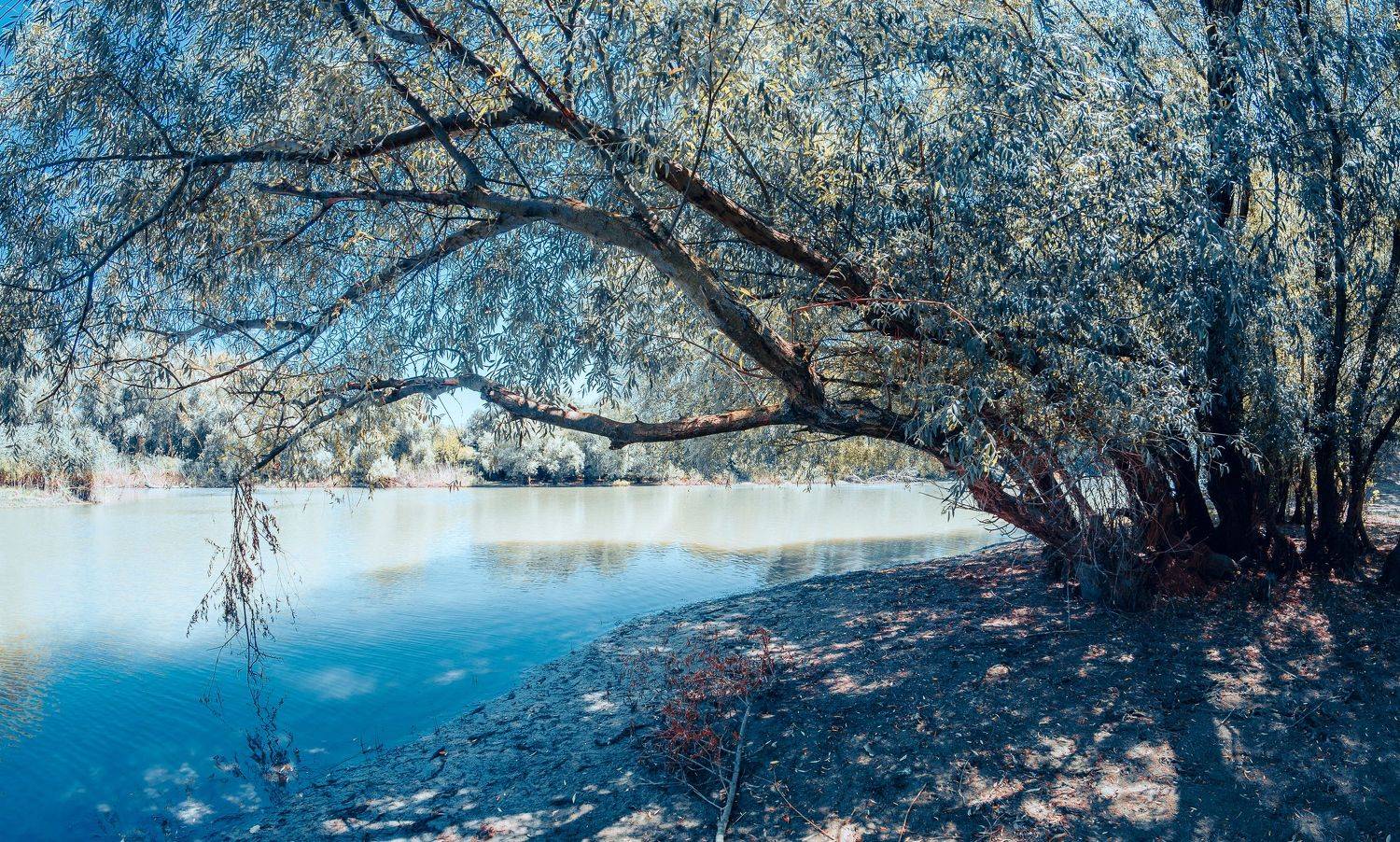 , Вадим Коваленко