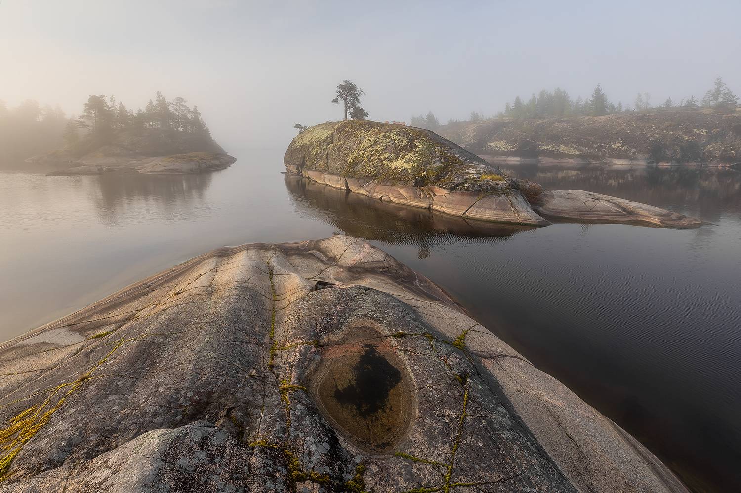 , Александр Пашеничев