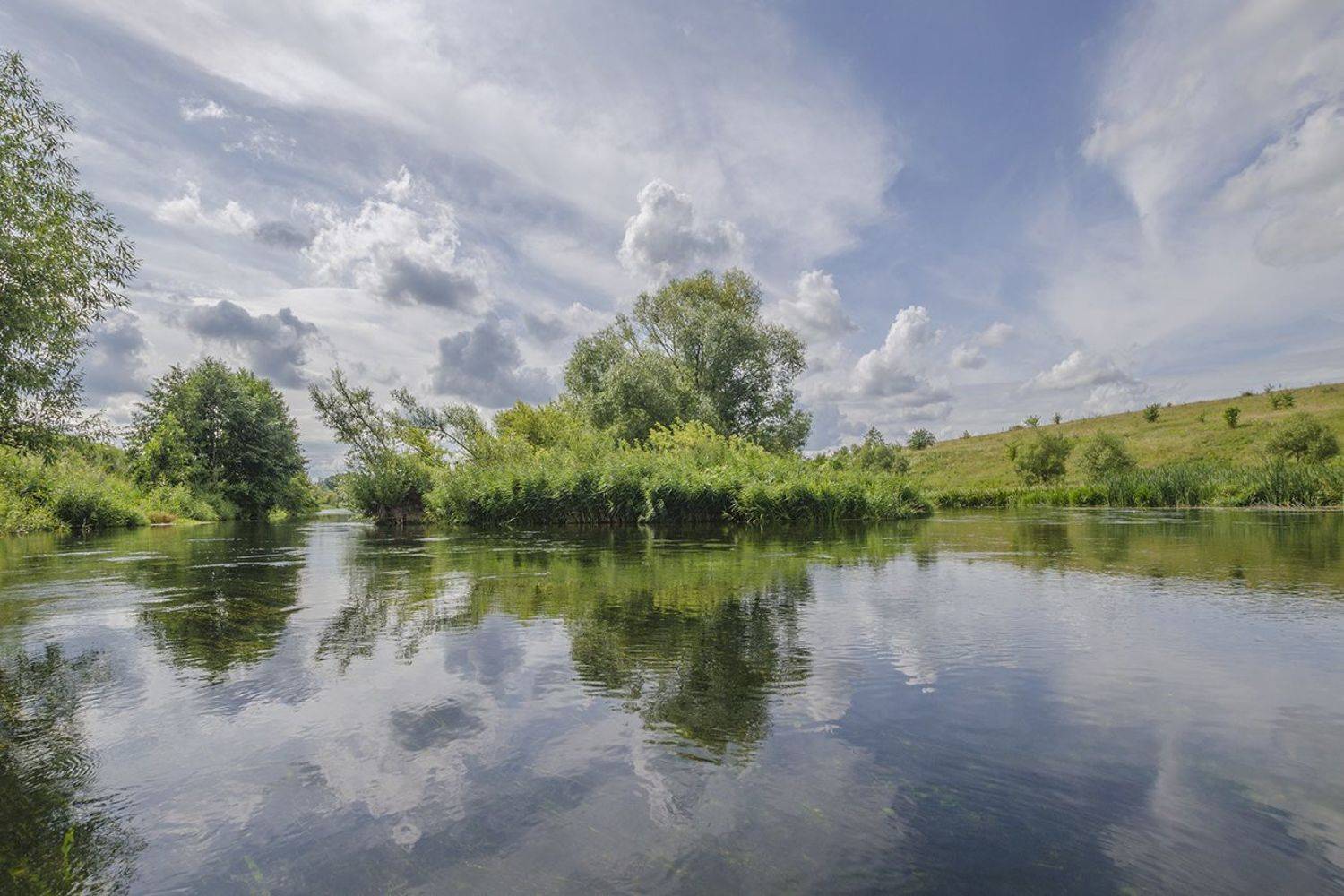 островок, река дон, Михаил Агеев