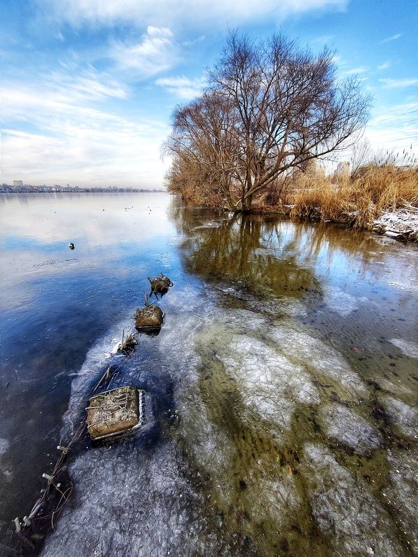 лед, дерево, вода, воронеж Первый лед фото превью