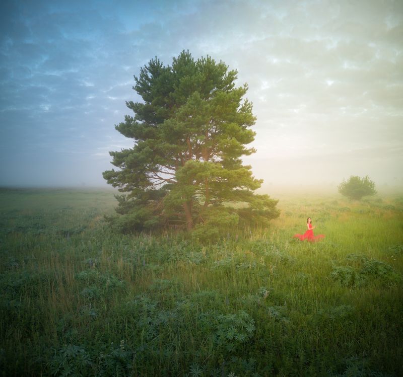 Туманное утро фото превью