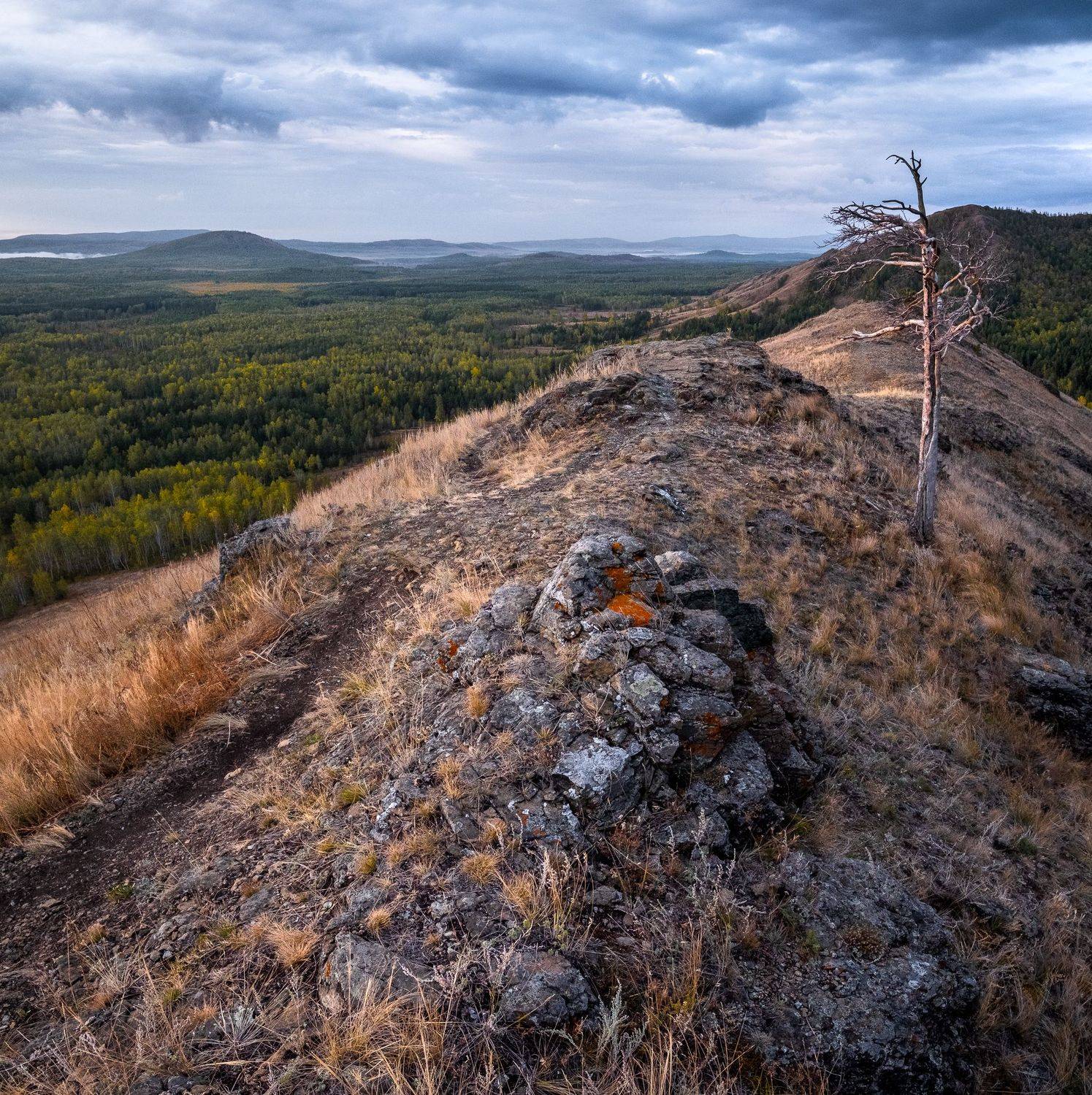, Вадим Коротеев