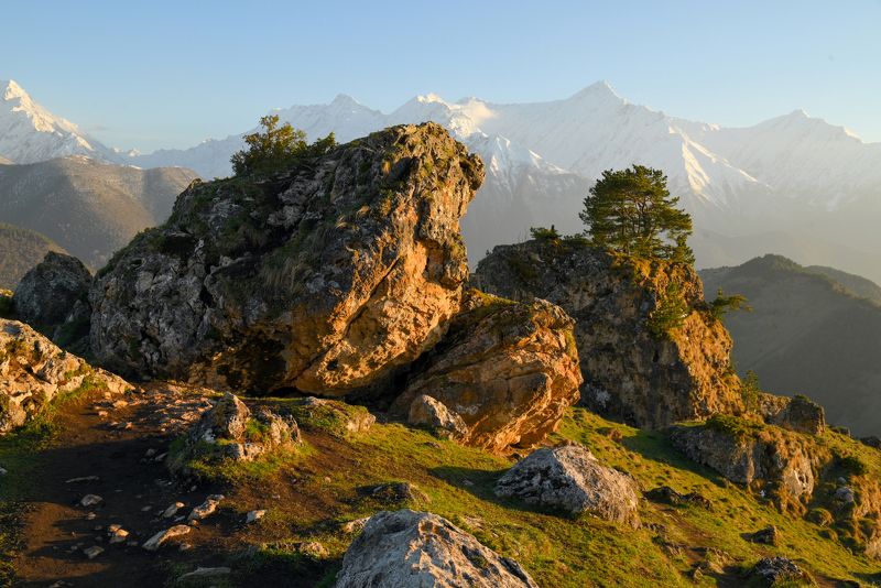 фото превью