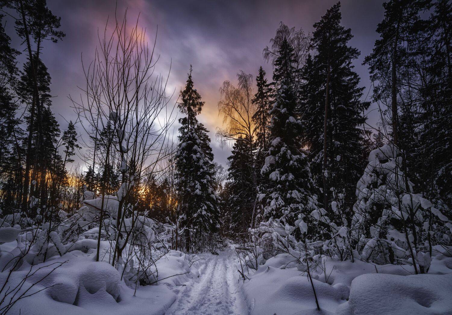 , Alexander Nikitin