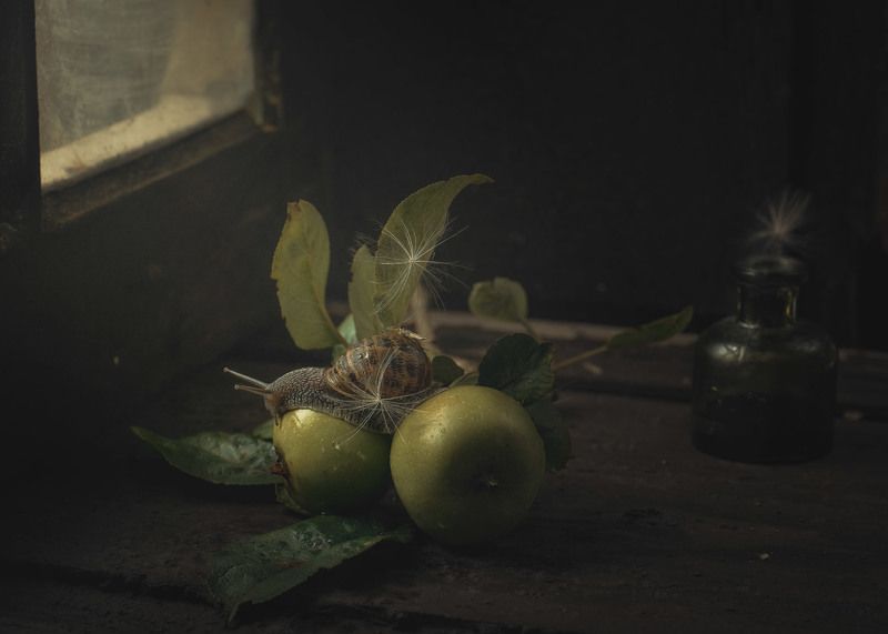 Manzanas фото превью