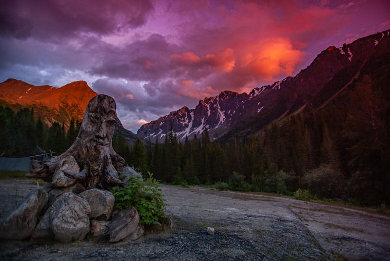 Тотем фото превью