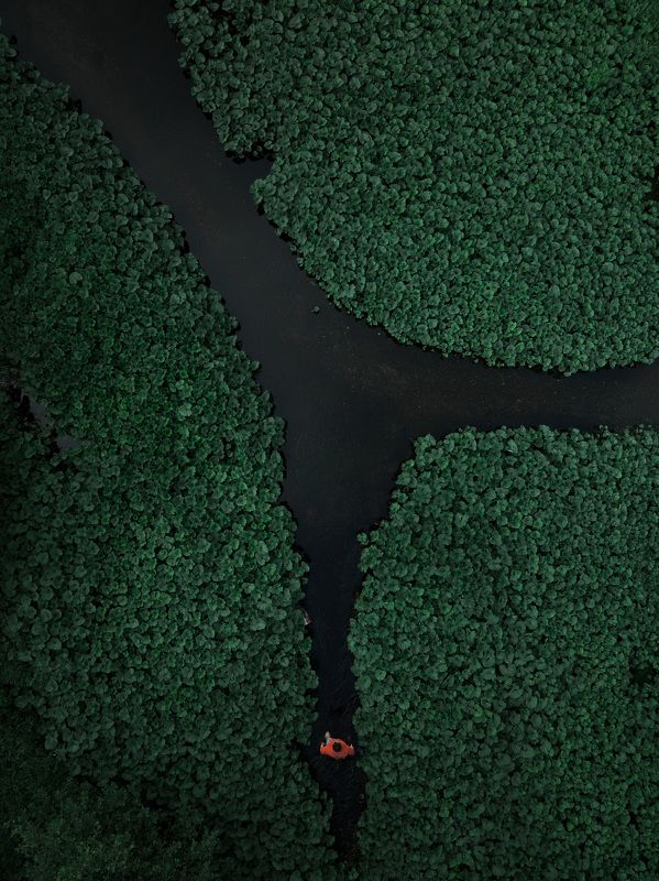 Выбор есть, осталось его сделать фото превью