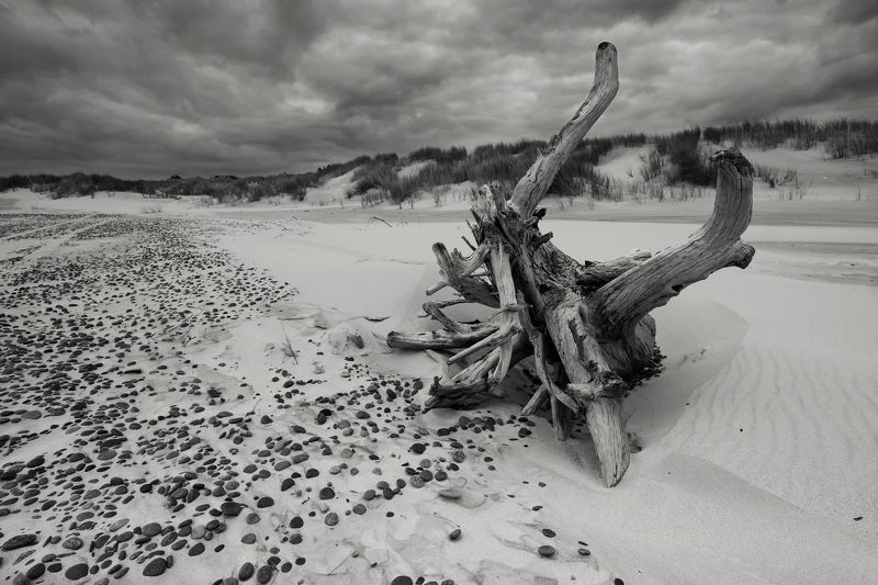 Baltic Coast фото превью