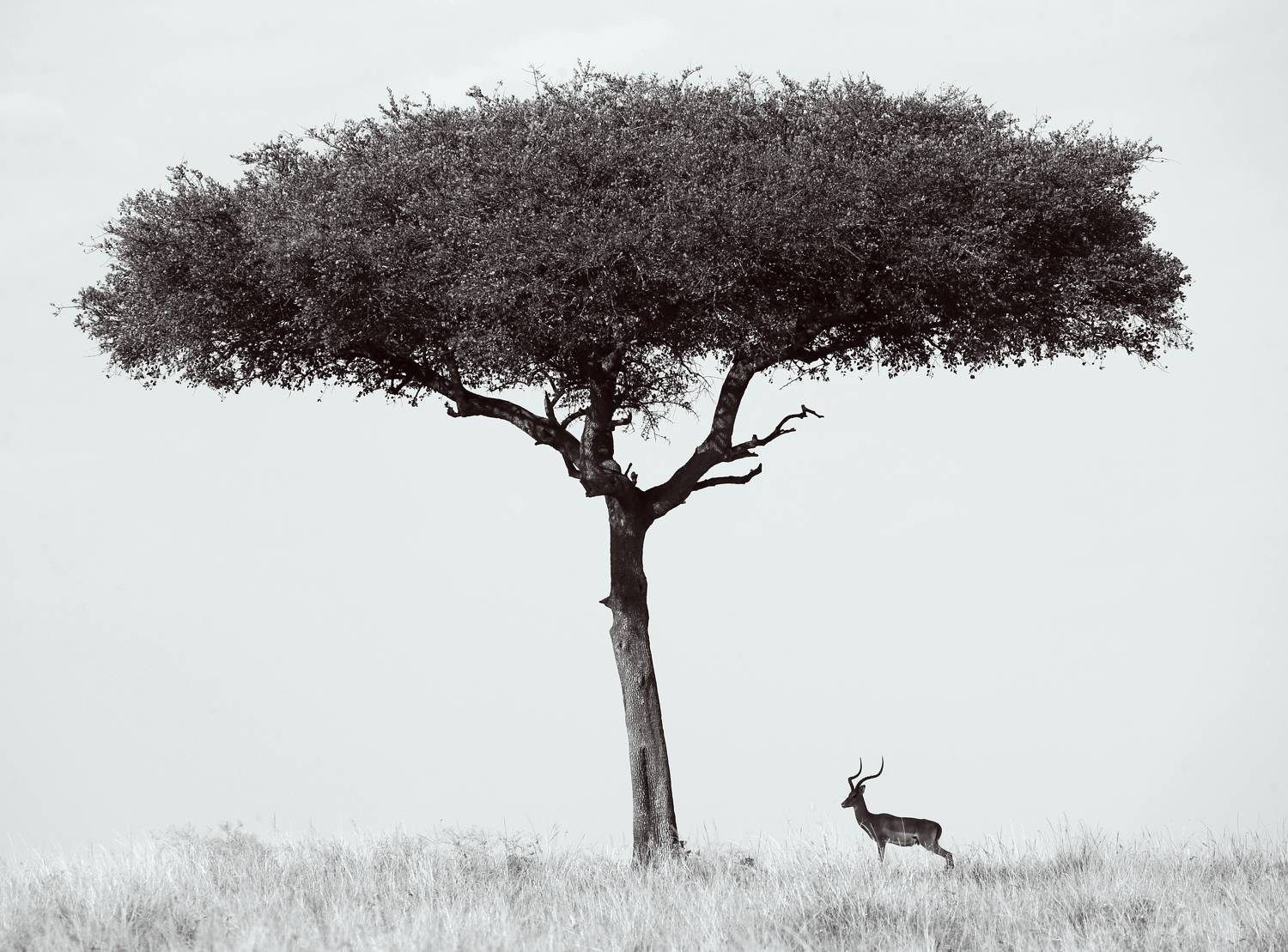 , Гудков Андрей