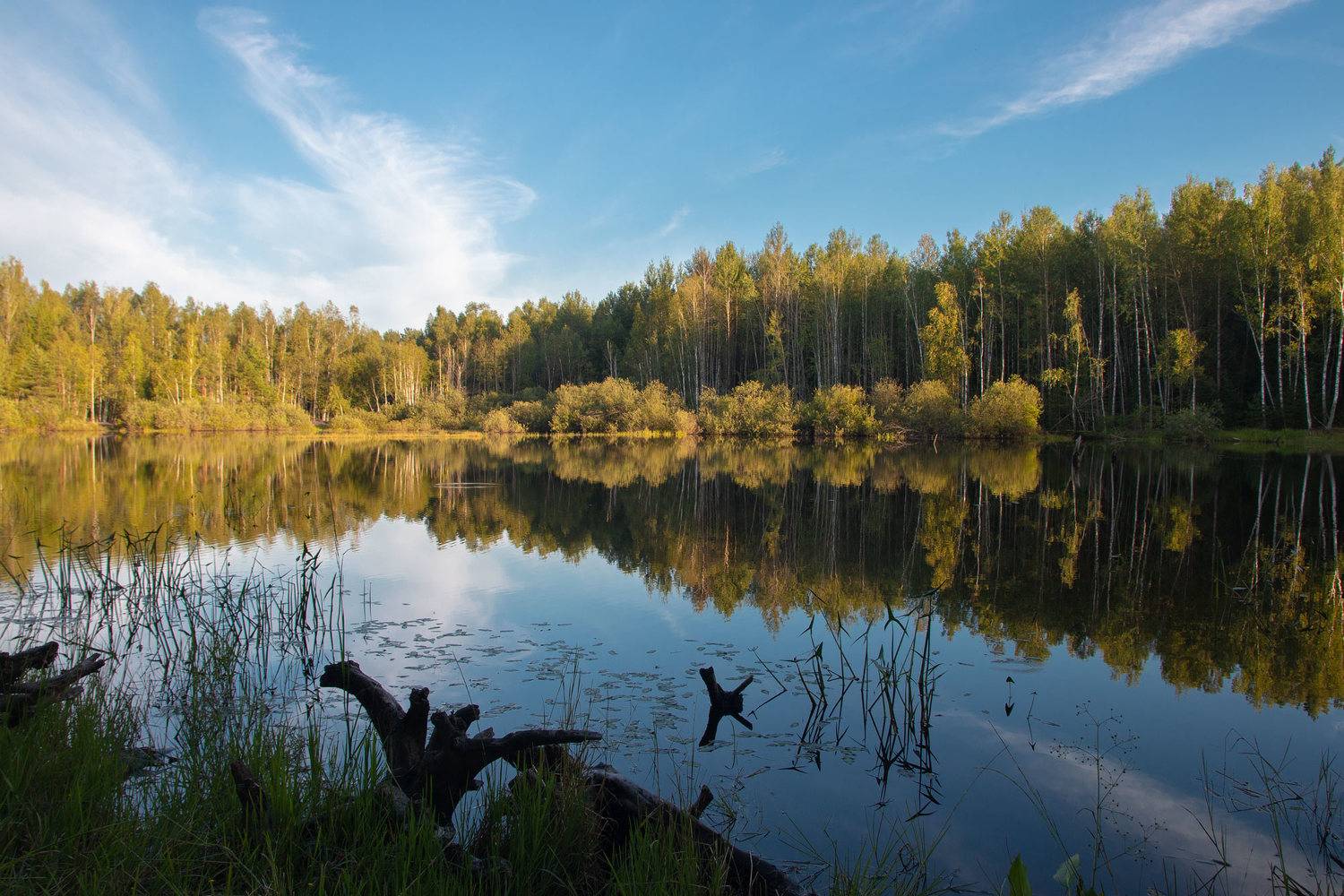 , Александр