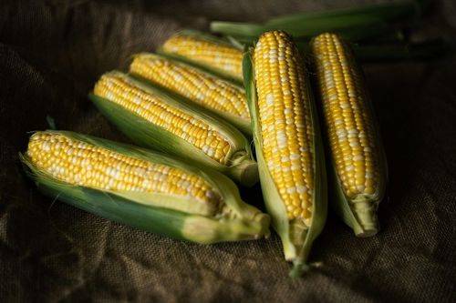 Кукуруза.