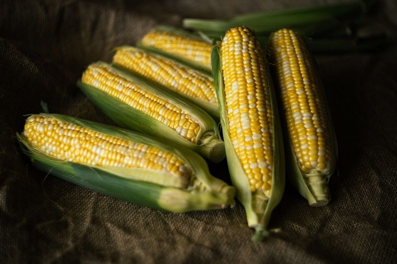 Кукуруза. фото превью