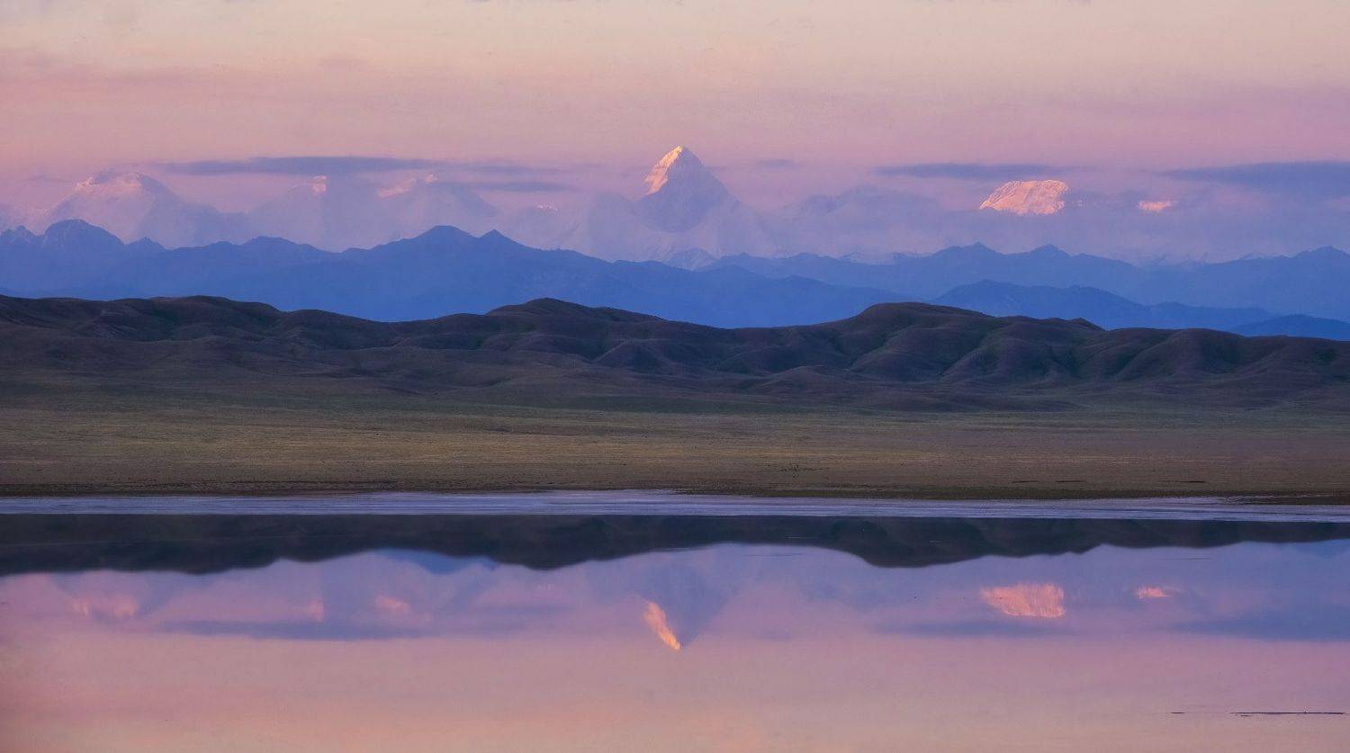 , Светлана Краюшкина