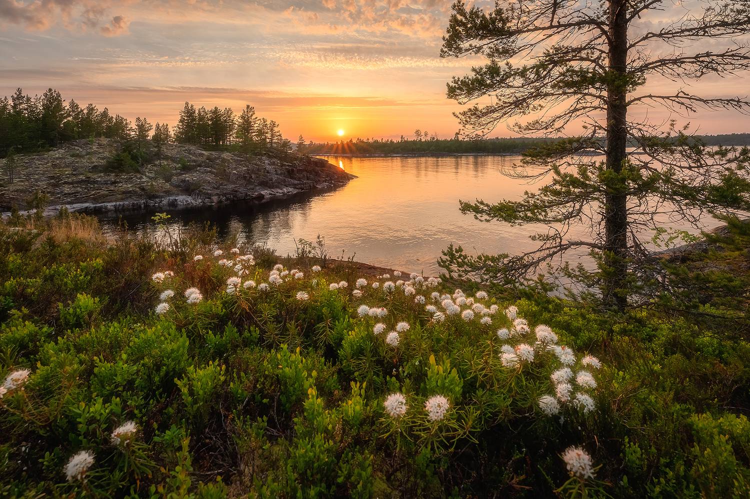 , Александр Пашеничев