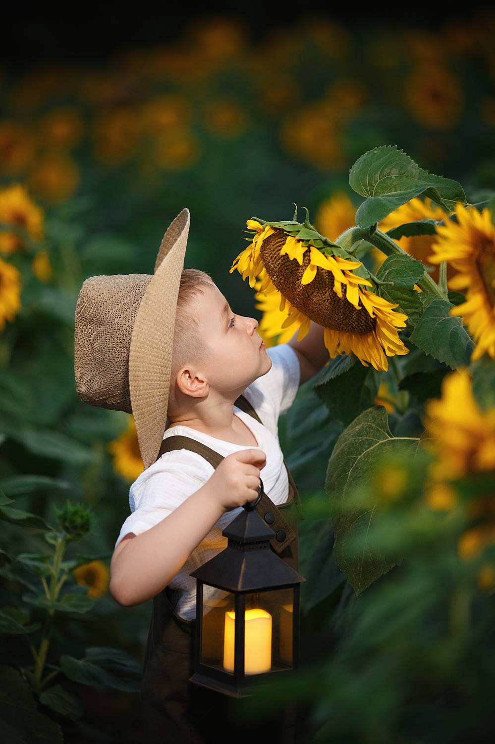 , Тамара Дмитриева