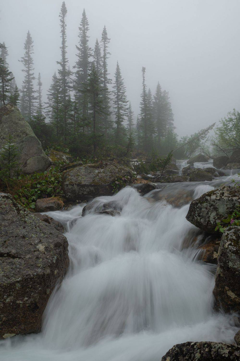 ергаки, туман, ручей, горы, пейзаж, Александр
