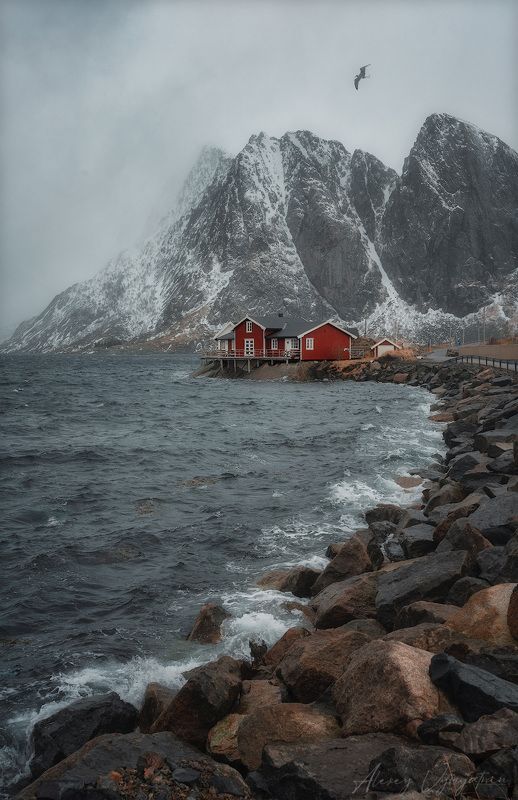 lofoten, landscape, evening, mood, gray, water, norway,  фото превью