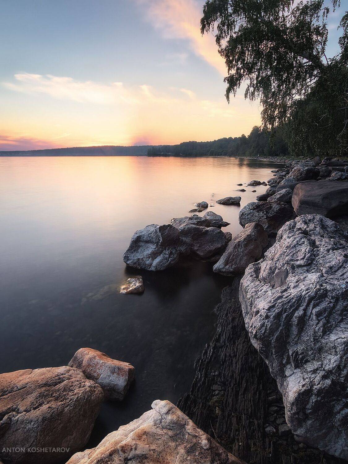 , Антон Кошетаров