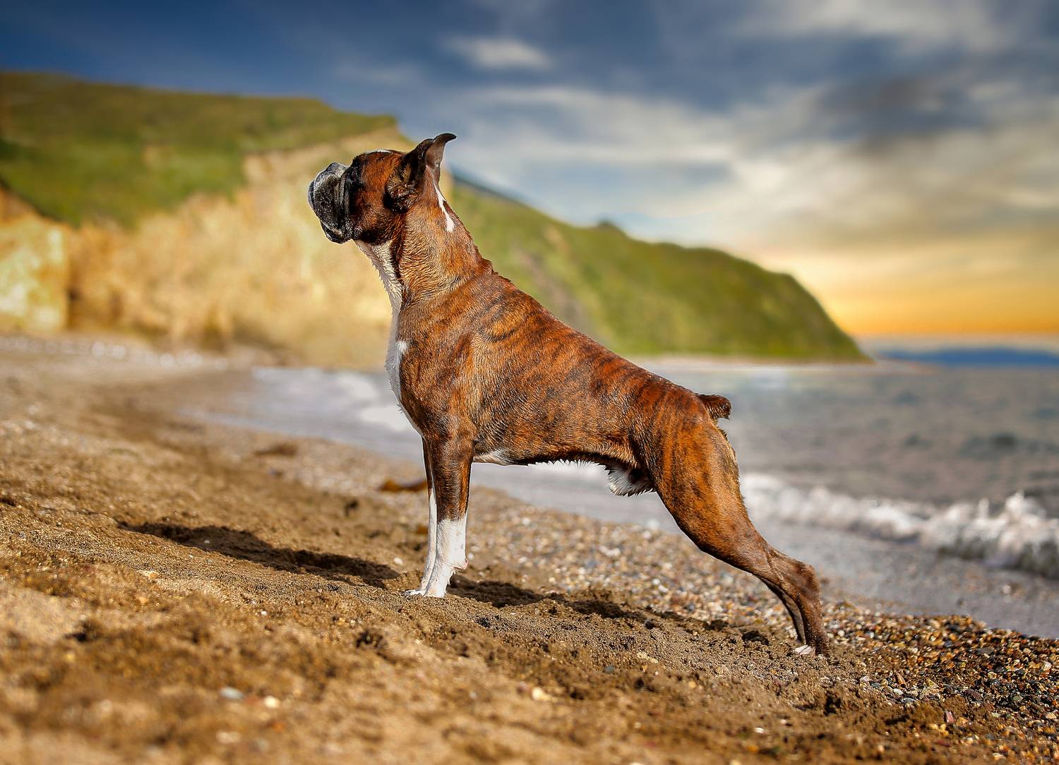 , Андрей Ершов