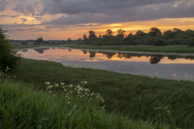 Рассвет, озеро, луг, цветы, отражение, лето, трава, зелень Летний рассвет фото превью