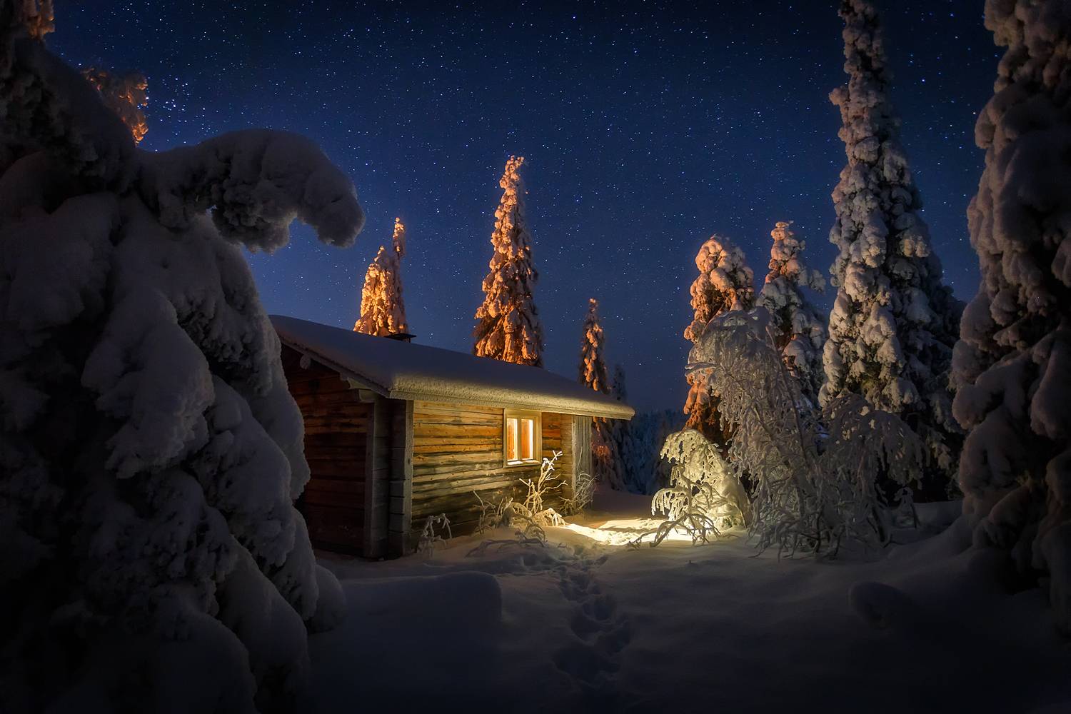 , Александр Пашеничев