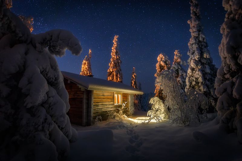 Лесная избушка под сводом звёзд. фото превью