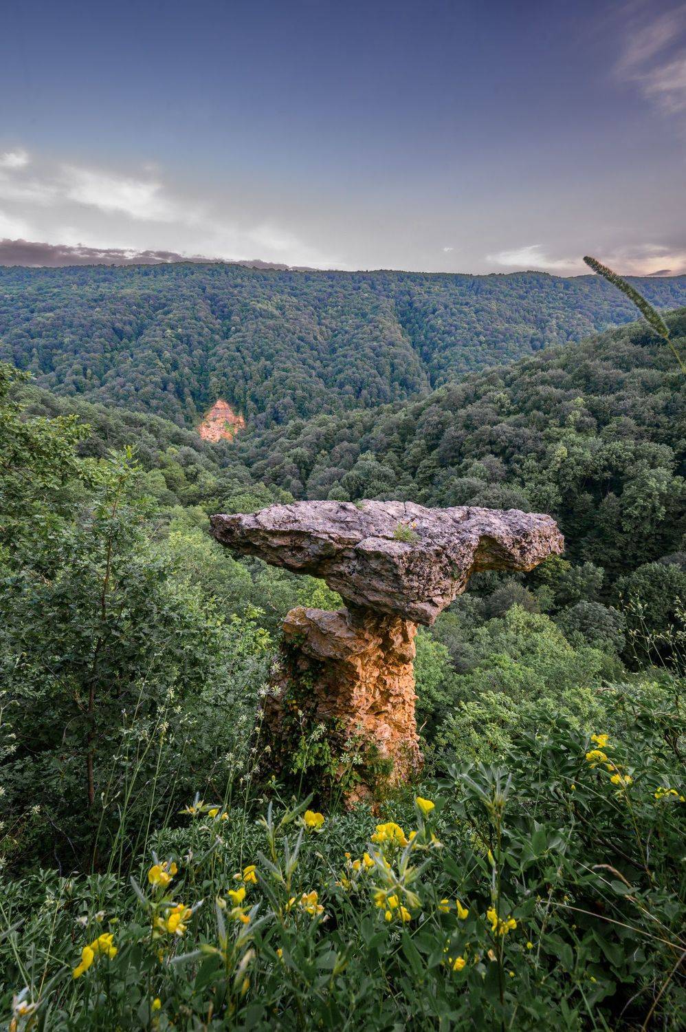 , Караваев Антон