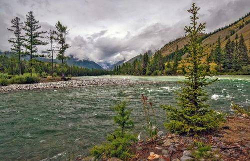 Живая вода...