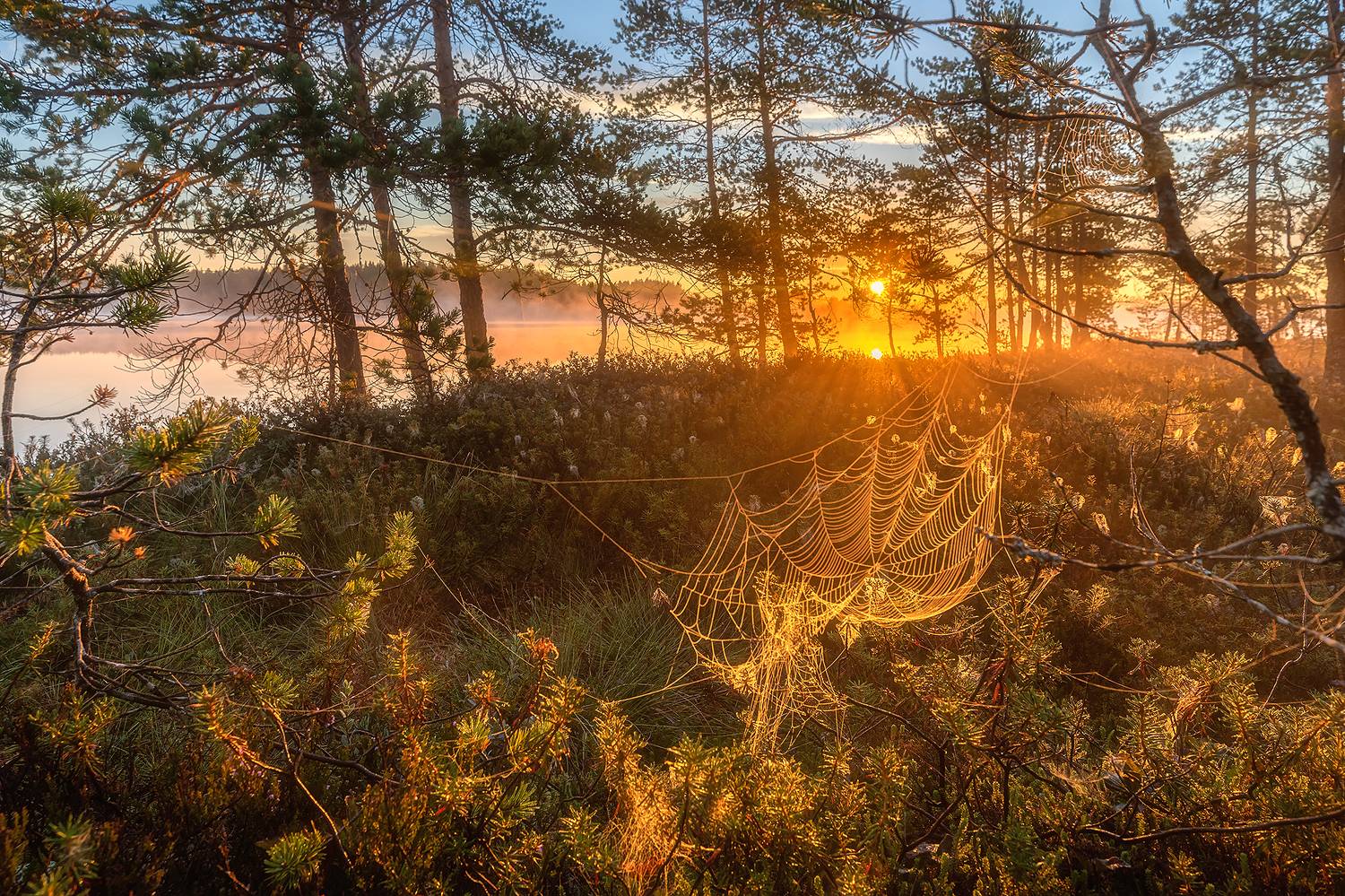 , Александр Пашеничев