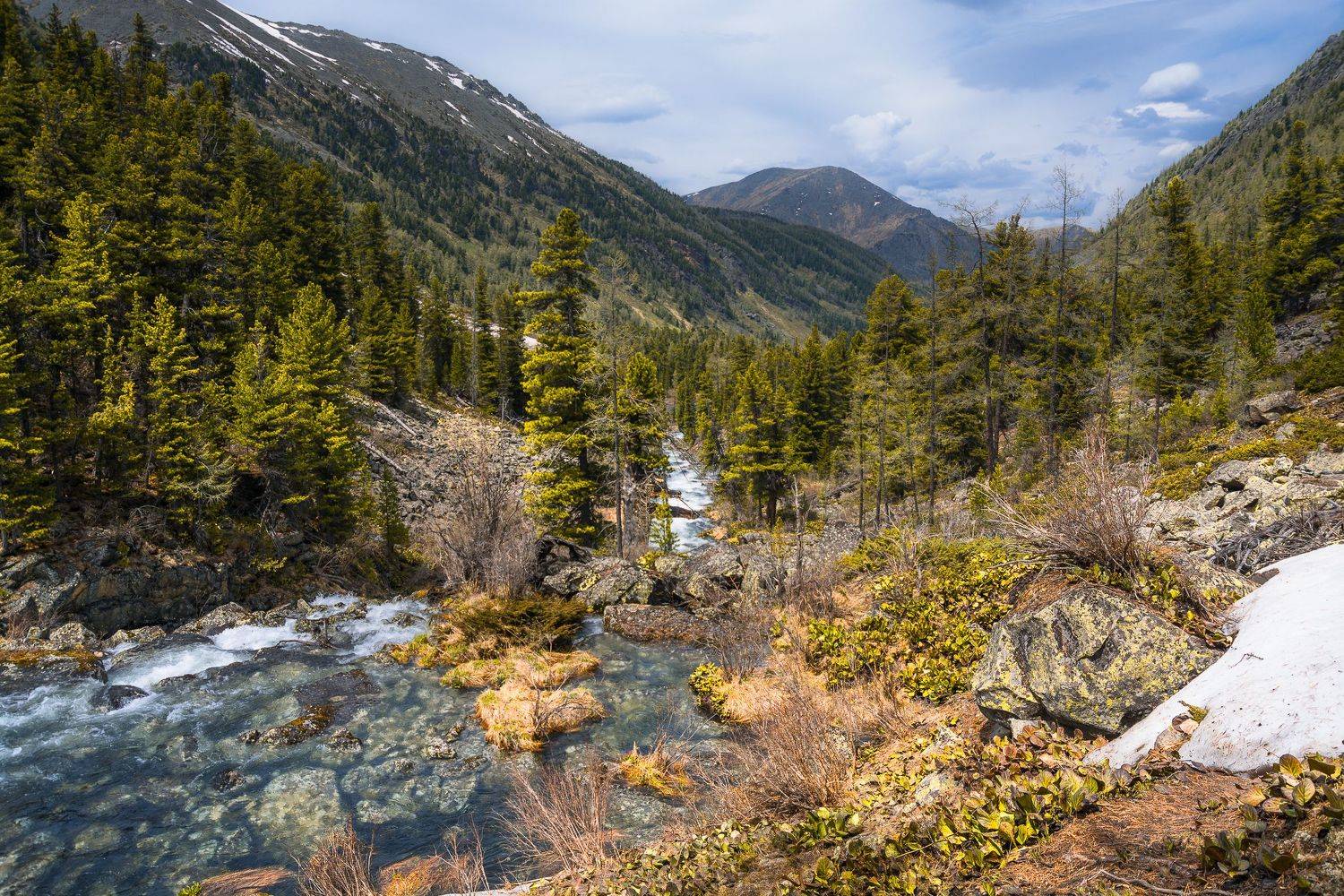 россия, горный алтай, река крепкая, июнь, Андрей Поляков
