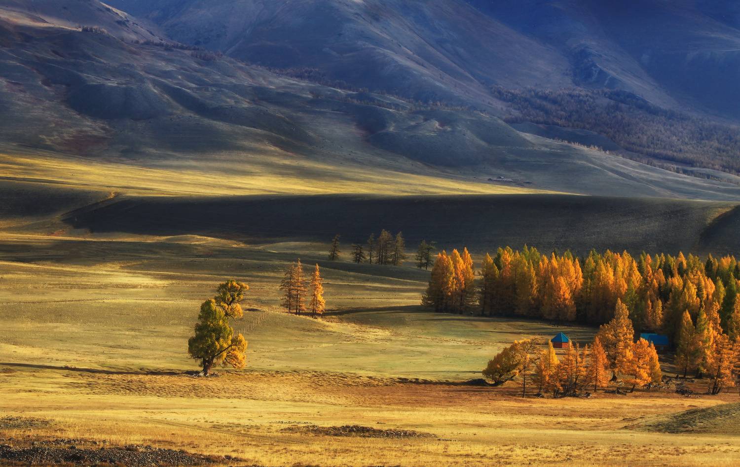 алтай, республика алтай, курай, курайская степь, Галина Хвостенко